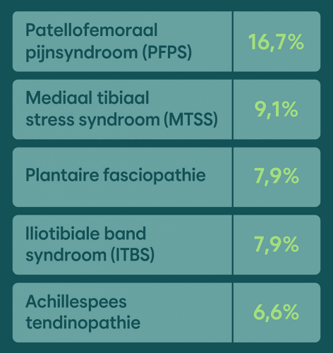 infographic meest voorkomend